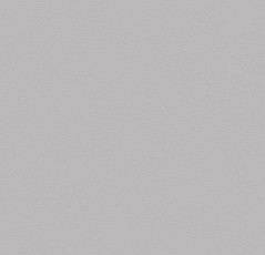 Линолеум Forbo Sarlon Colour 15dB 861T4315 light grey uni фото 1 | FLOORDEALER